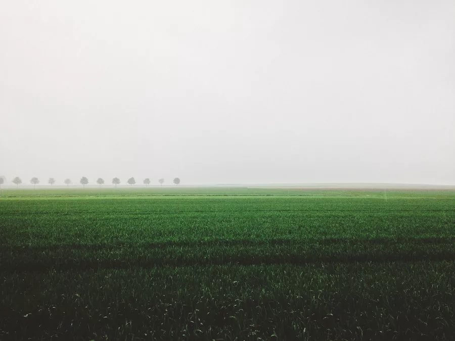 Размытое изображение фото