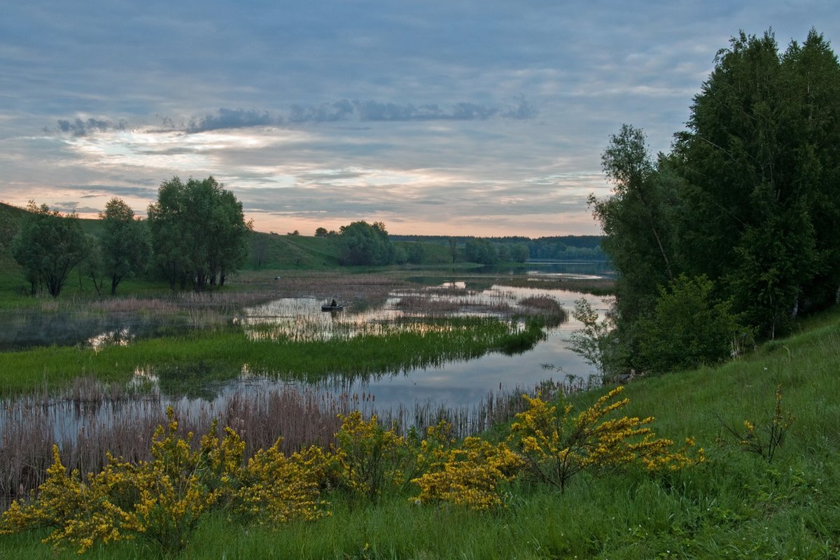 речка летом картинки фото
