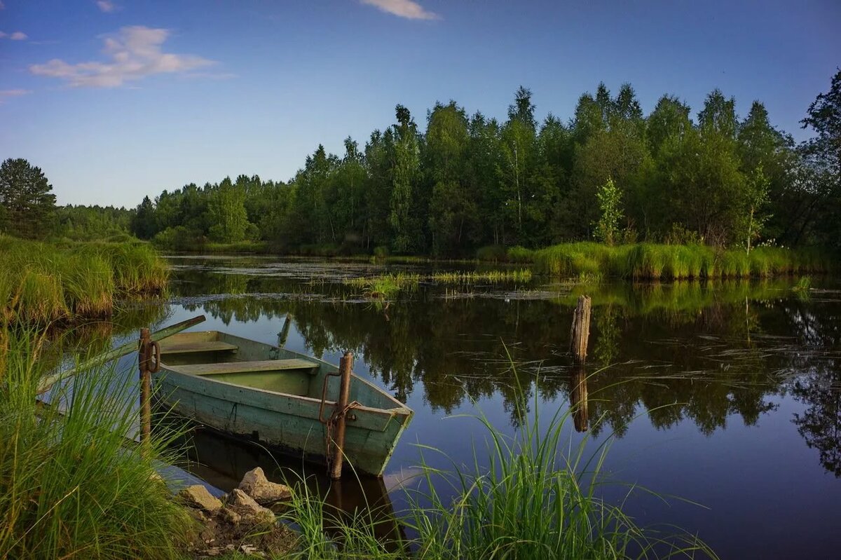 речные пейзажи россии фото