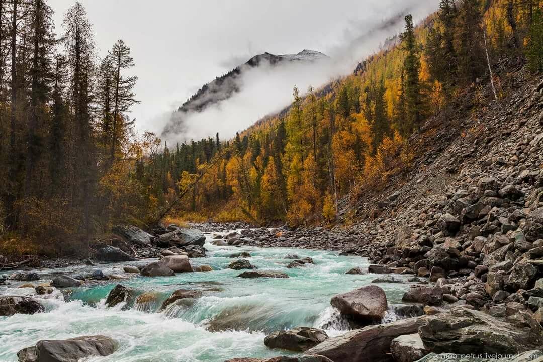 река аккем алтай фото