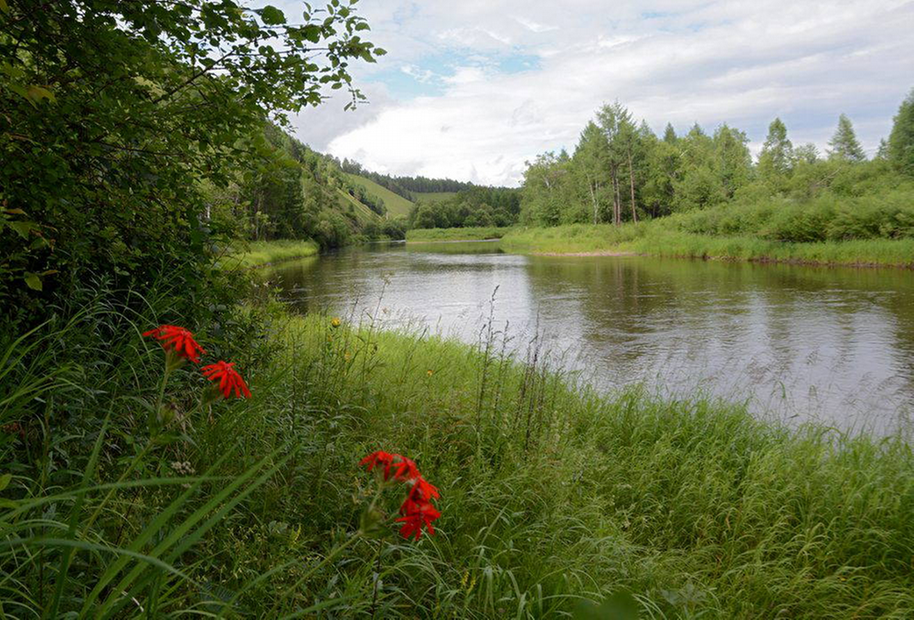 река аргунь фото