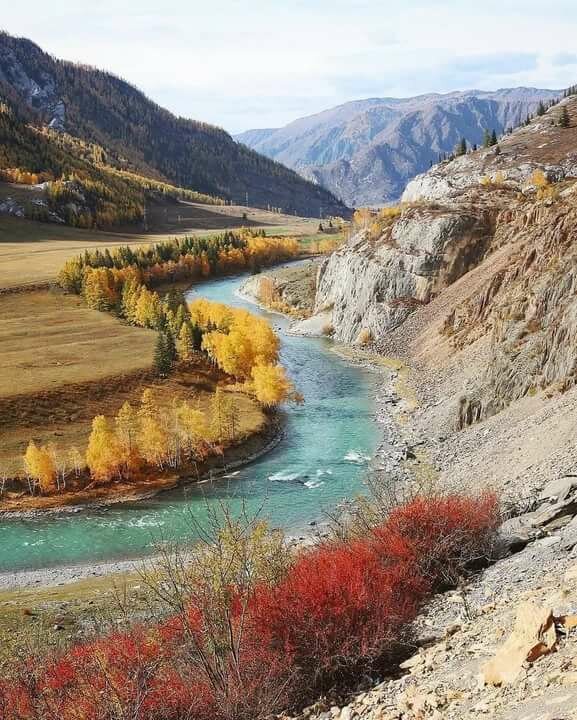 река чуя горный алтай фото