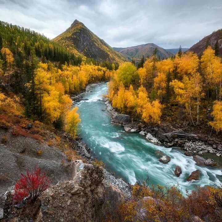 река чуя горный алтай фото