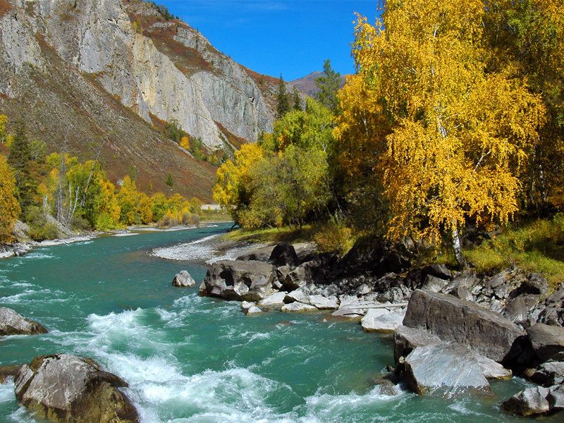 река чуя горный алтай фото