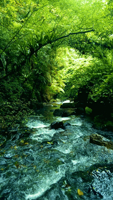 река гега абхазия фото