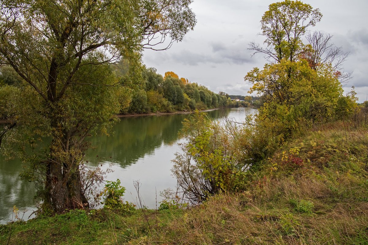 река инза фото