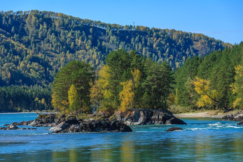 река катунь алтайский край фото