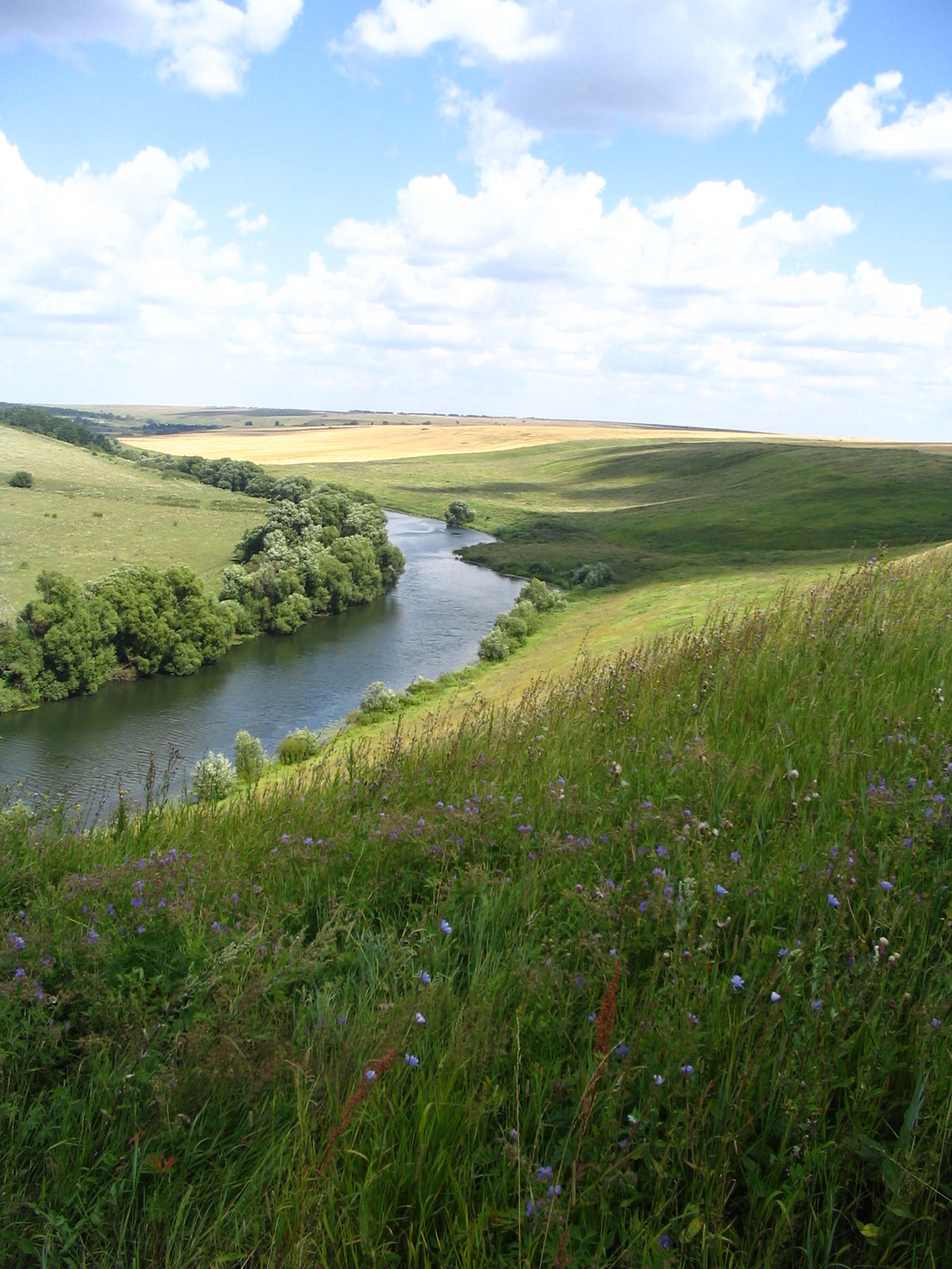 река красивая меча ишутинское городище фото