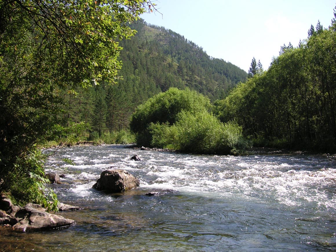 река куба горный алтай фото
