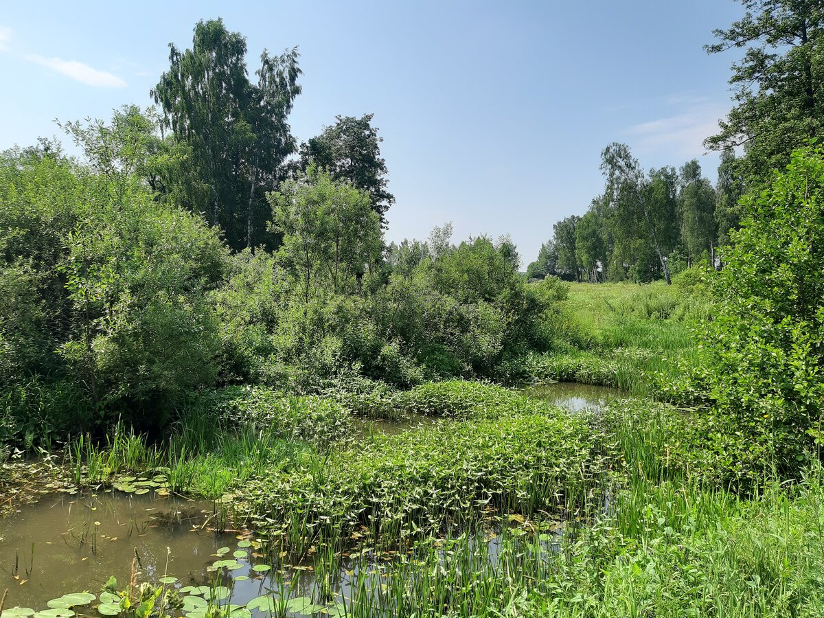 река селекша фото