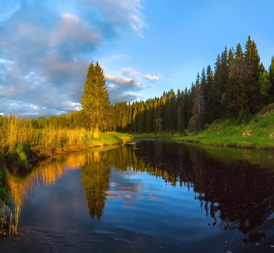 реки ло картинка фото