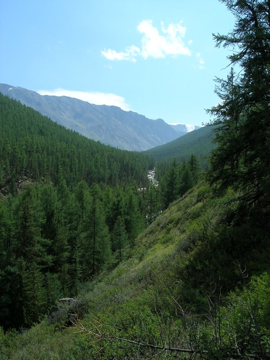 Республика Алтай фото