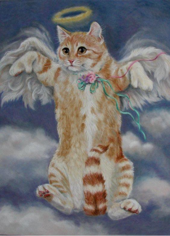 рисунки котят пастелью фото