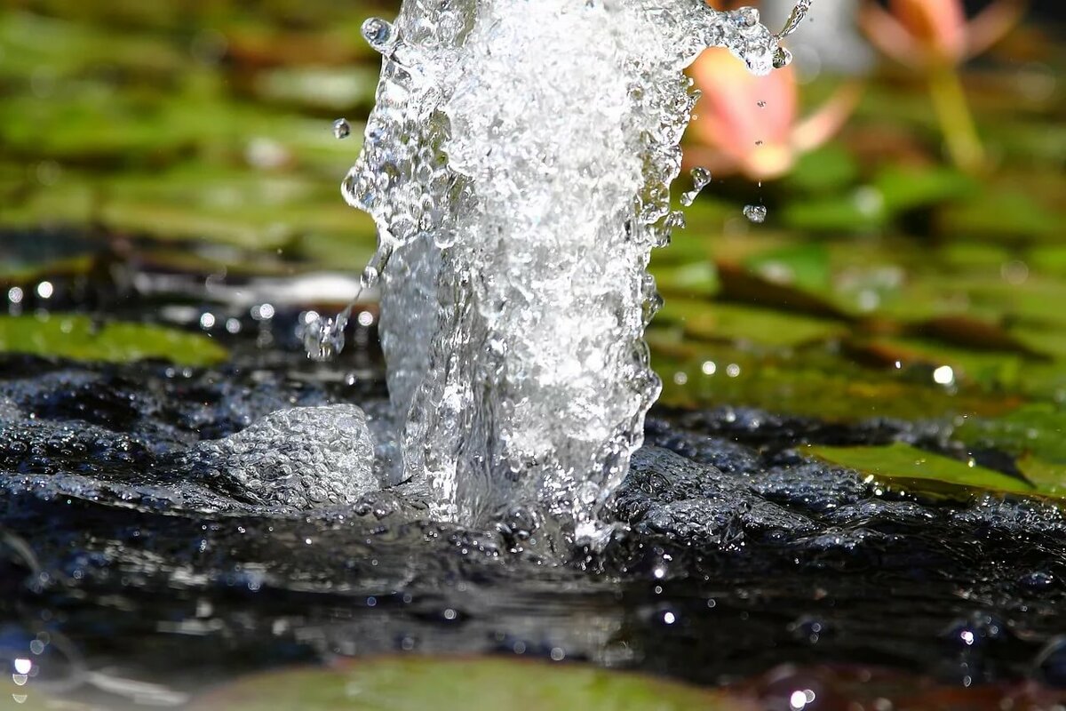 родниковая вода фото