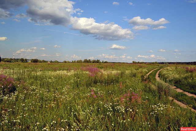 родные просторы картинки фото