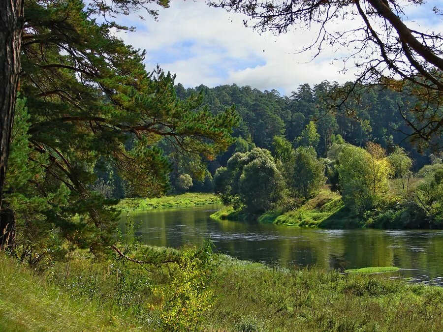 родоновские озера лопухинка фото