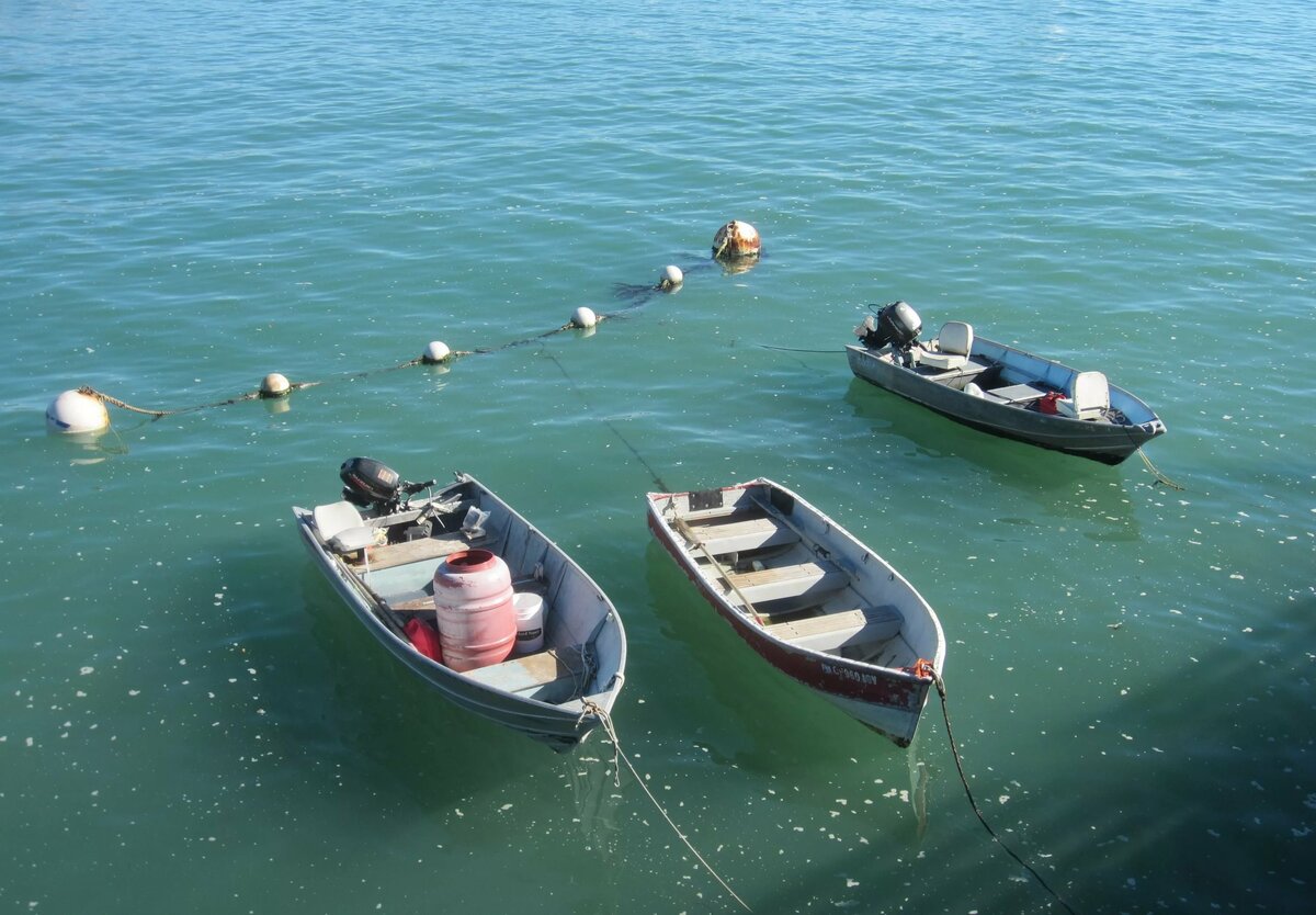 рыбацкая лодка в море фото