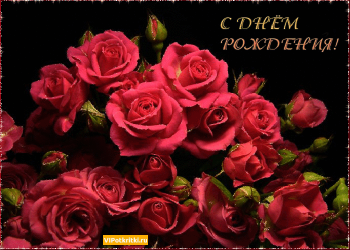 с днем рождения розы гиф фото