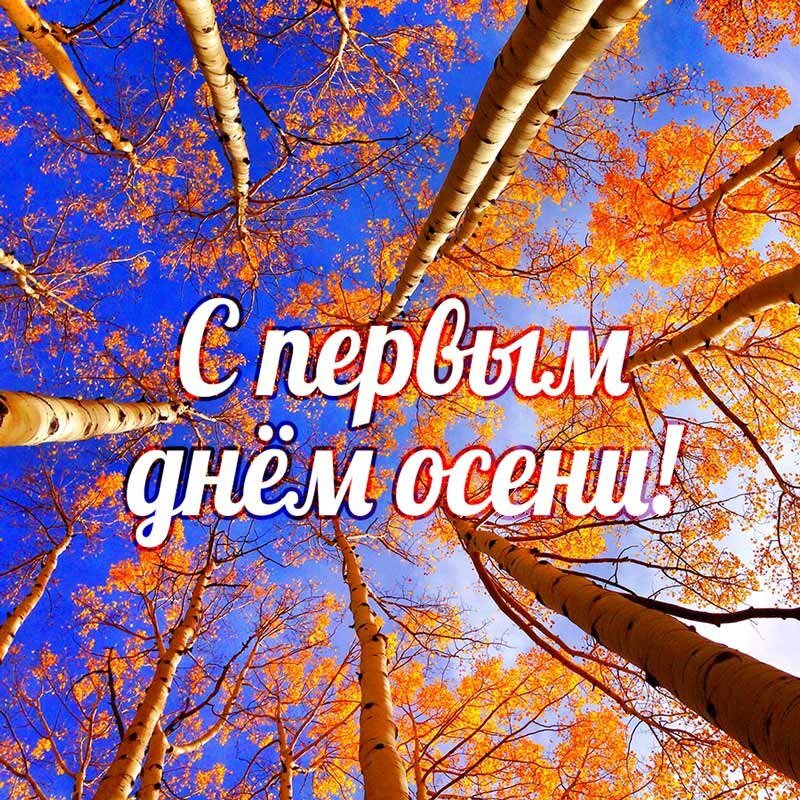 с первым днем осени фото