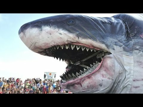 самая большая акула в мире мегалодон фото