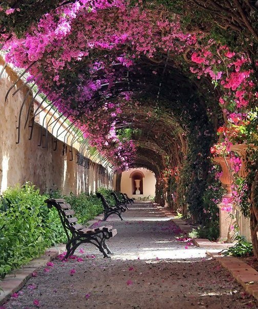 самые красивые улицы мира фото