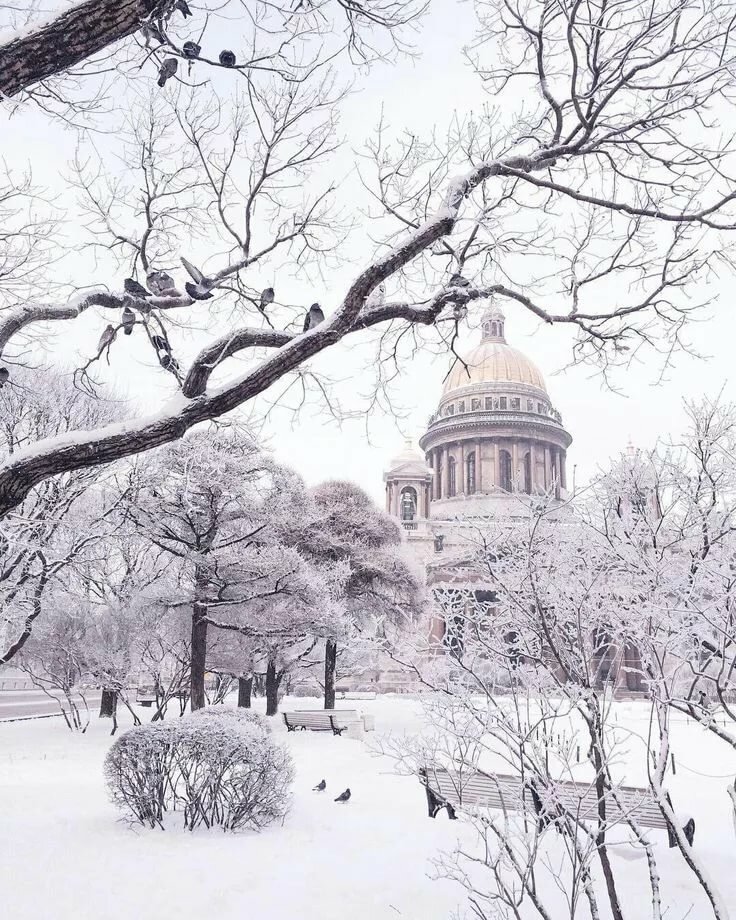 санкт петербург зима фото