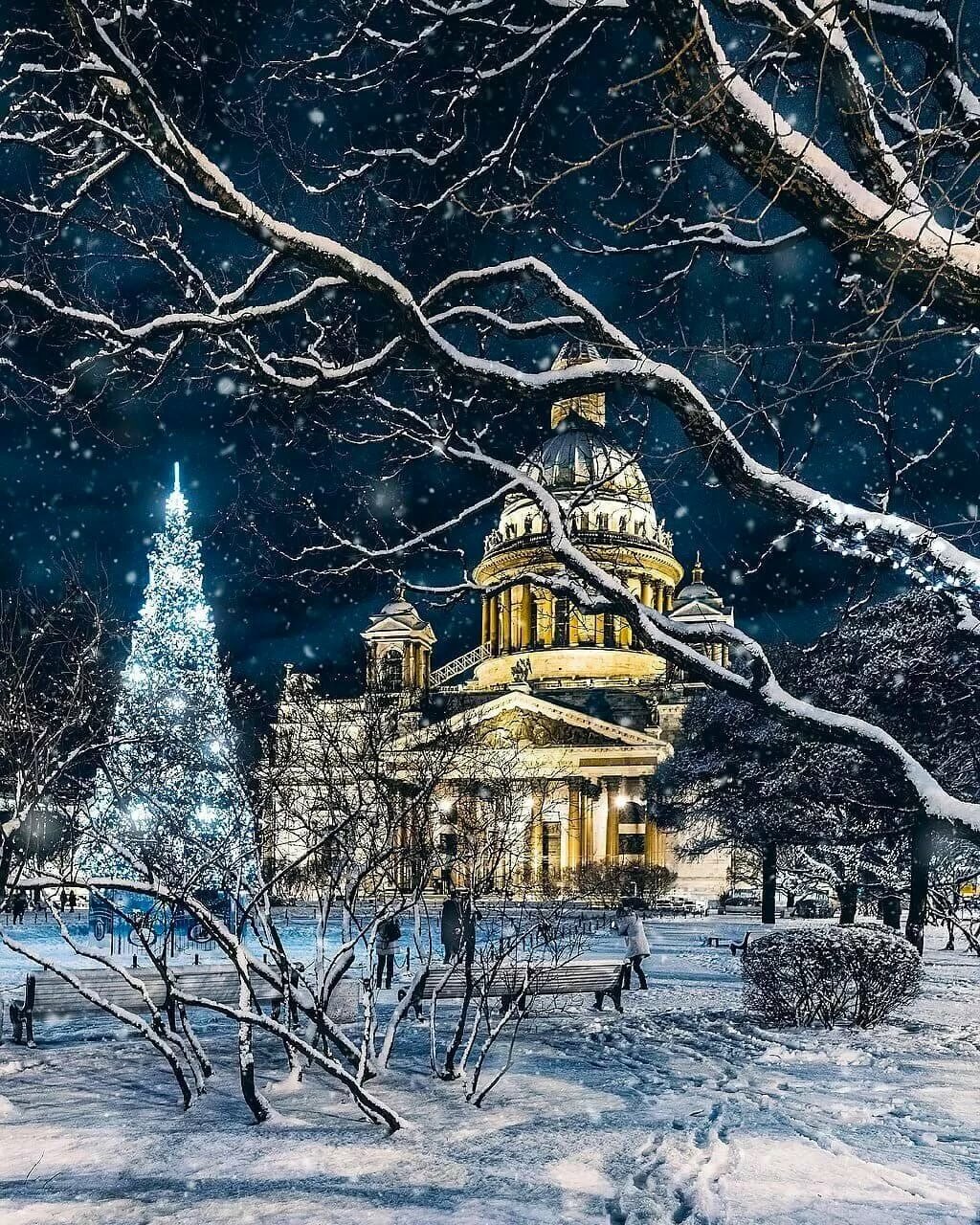 санкт петербург зимний зима фото