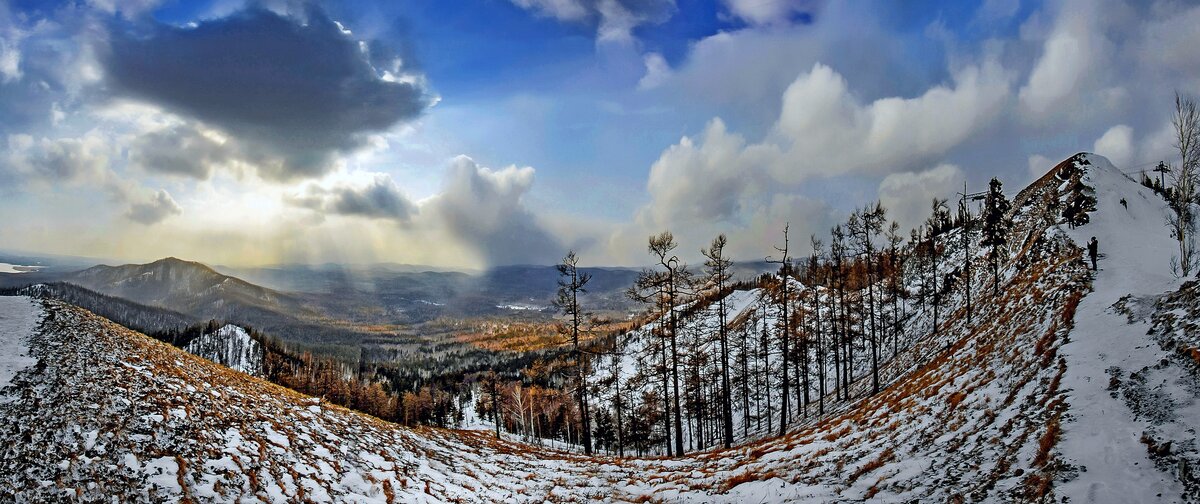 саяны зима тайга фото