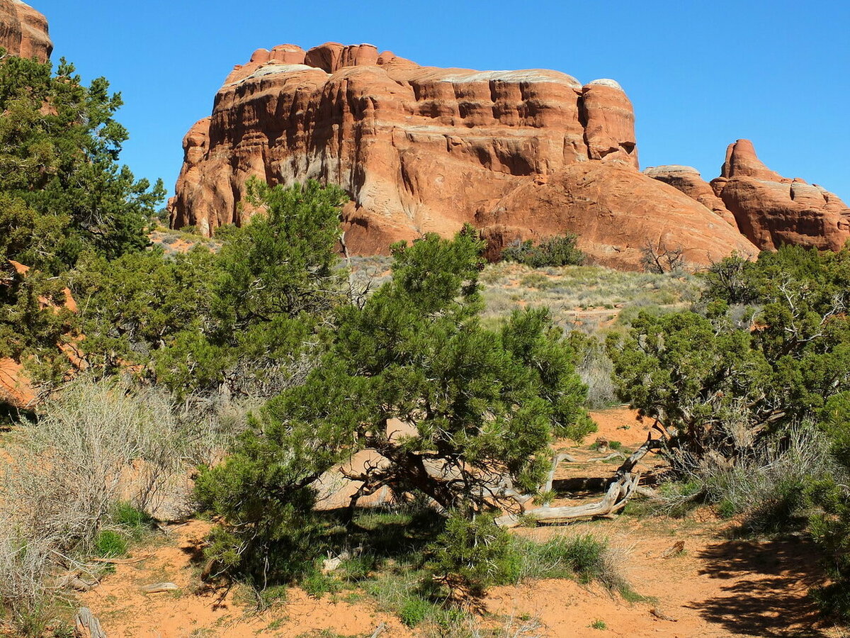 седона (sedona), штат аризона фото