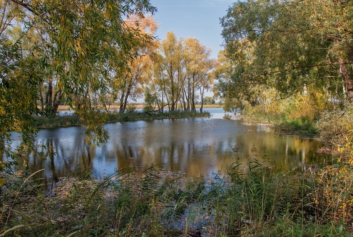 сентябрь картинки природа фото