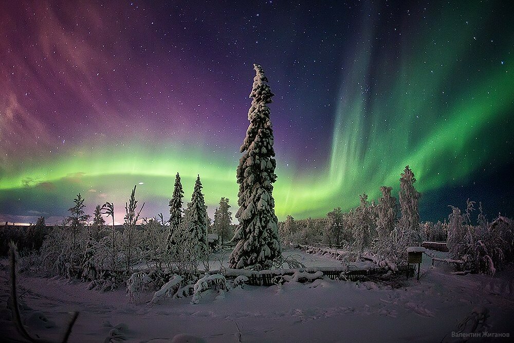 северное сияние в мурманске фото