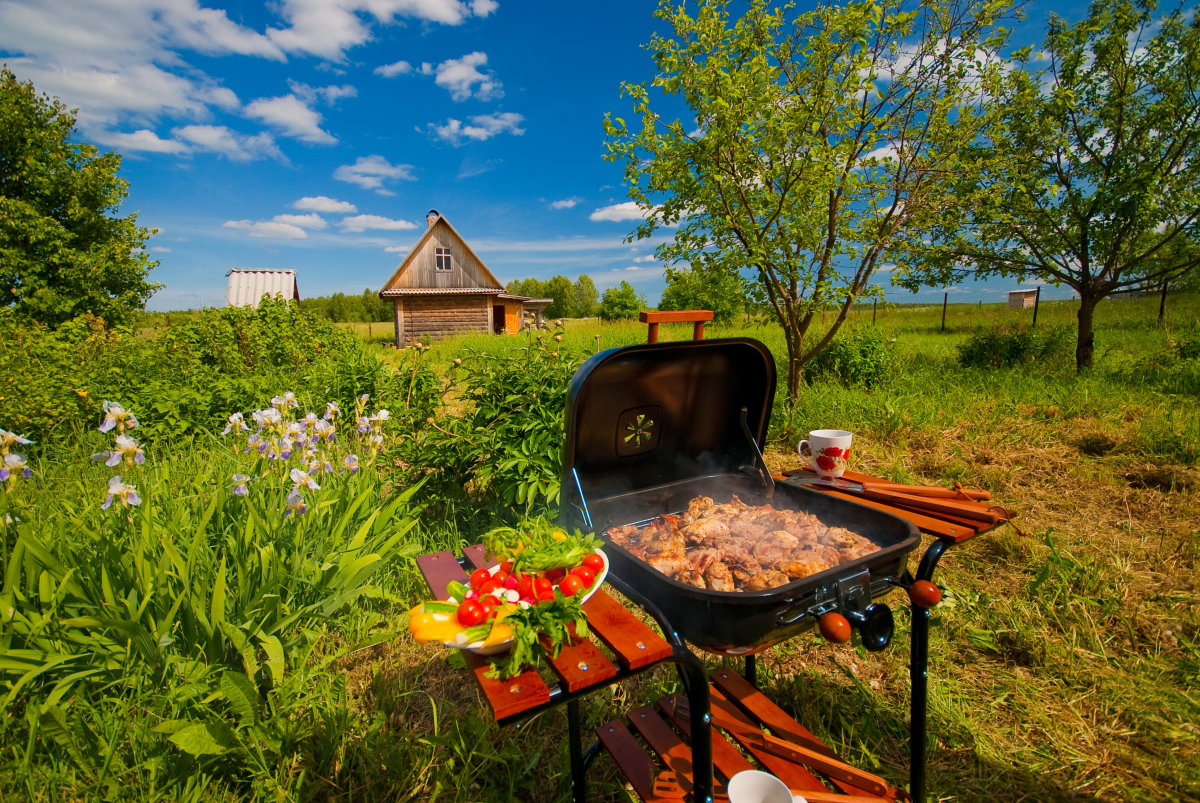 шашлык на даче картинки фото