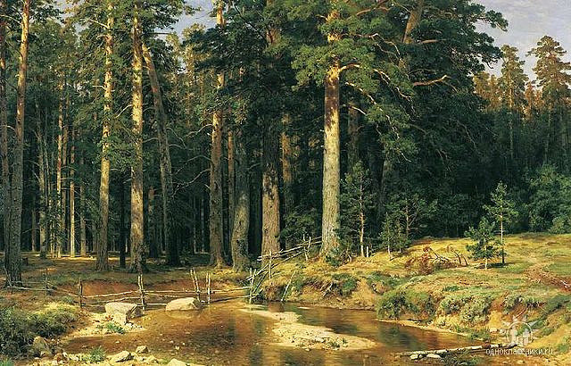 шишкин корабельная роща картина фото