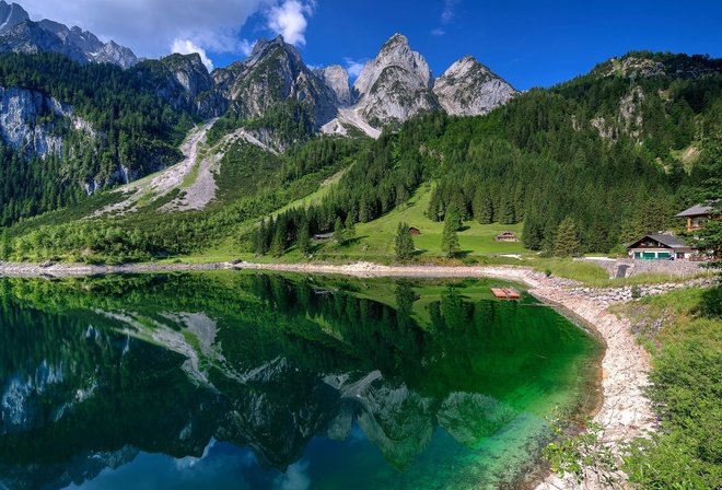 швейцария озеро лес картинки фото