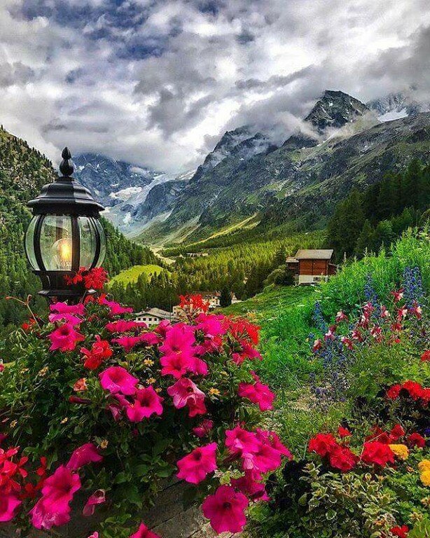 швейцарские альпы весна фото