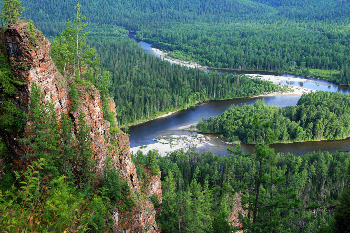 сибирская тайга картинки фото