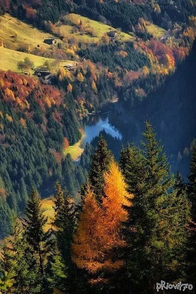 синевир осенью фото