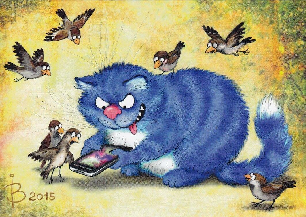 синие коты рины зенюк блокноты фото
