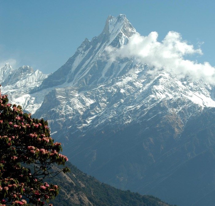 сивана гималаи фото