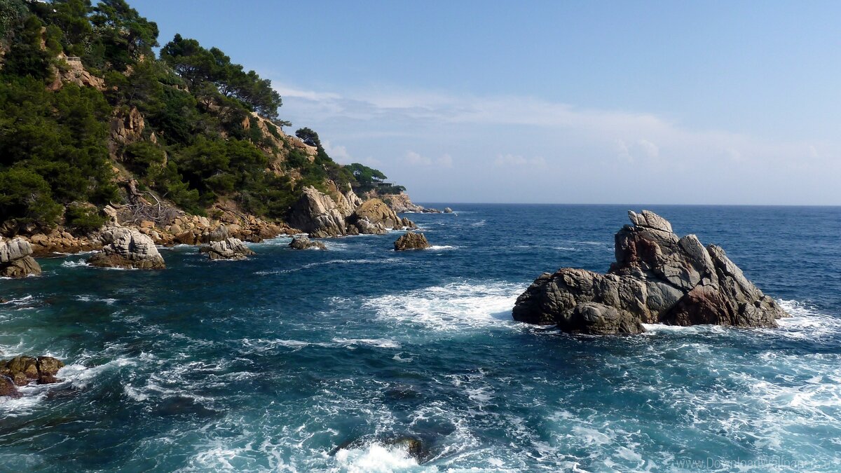 скала море фото