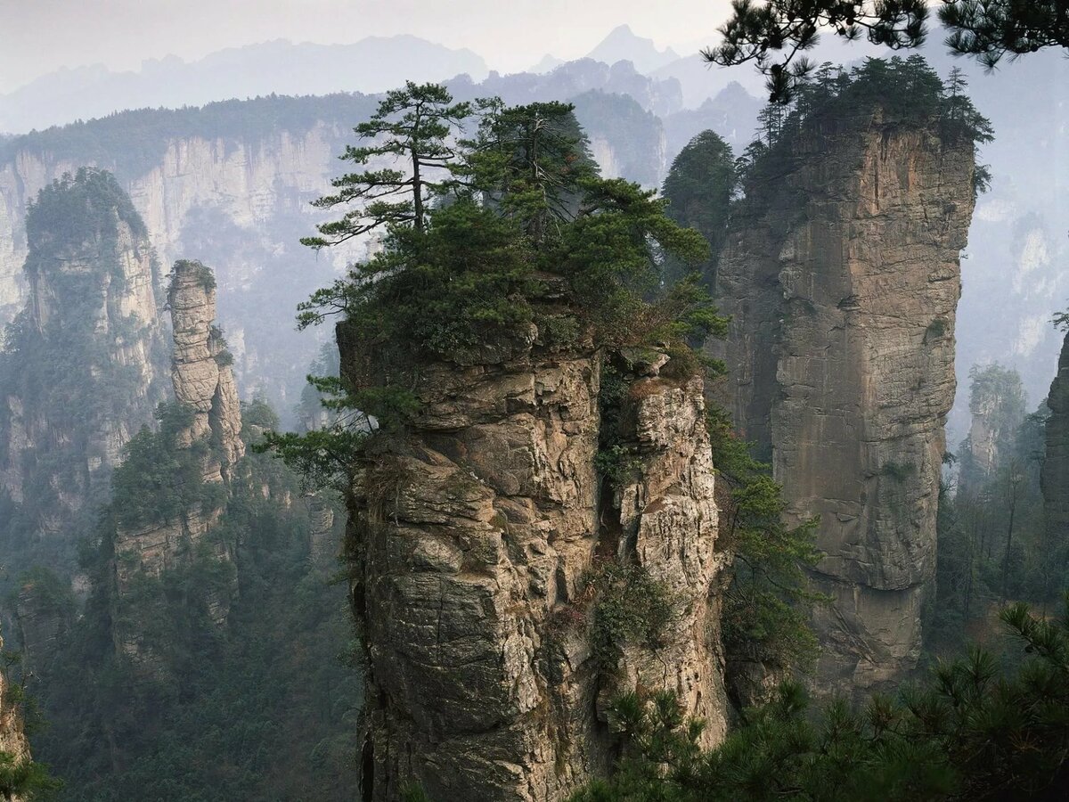 скалы с деревьями фото