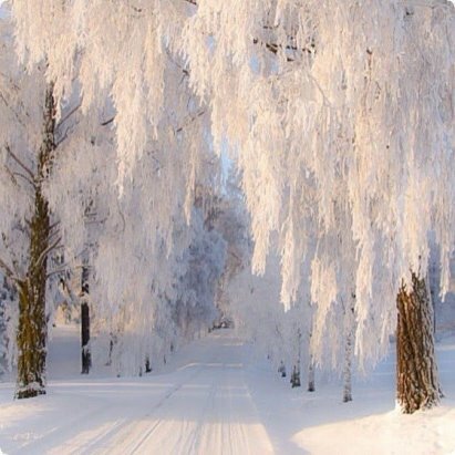сказочная зима фото