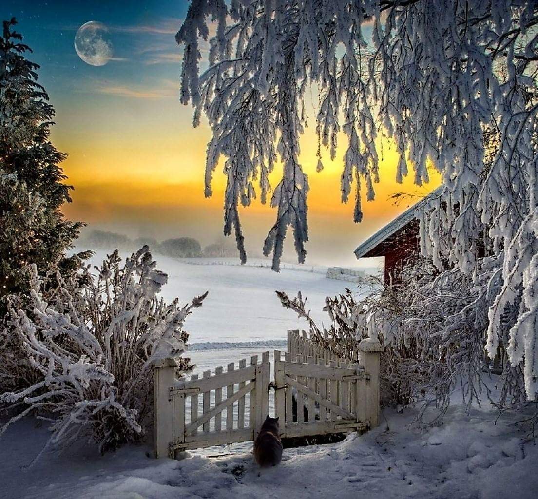 сказочные зимние обои фото