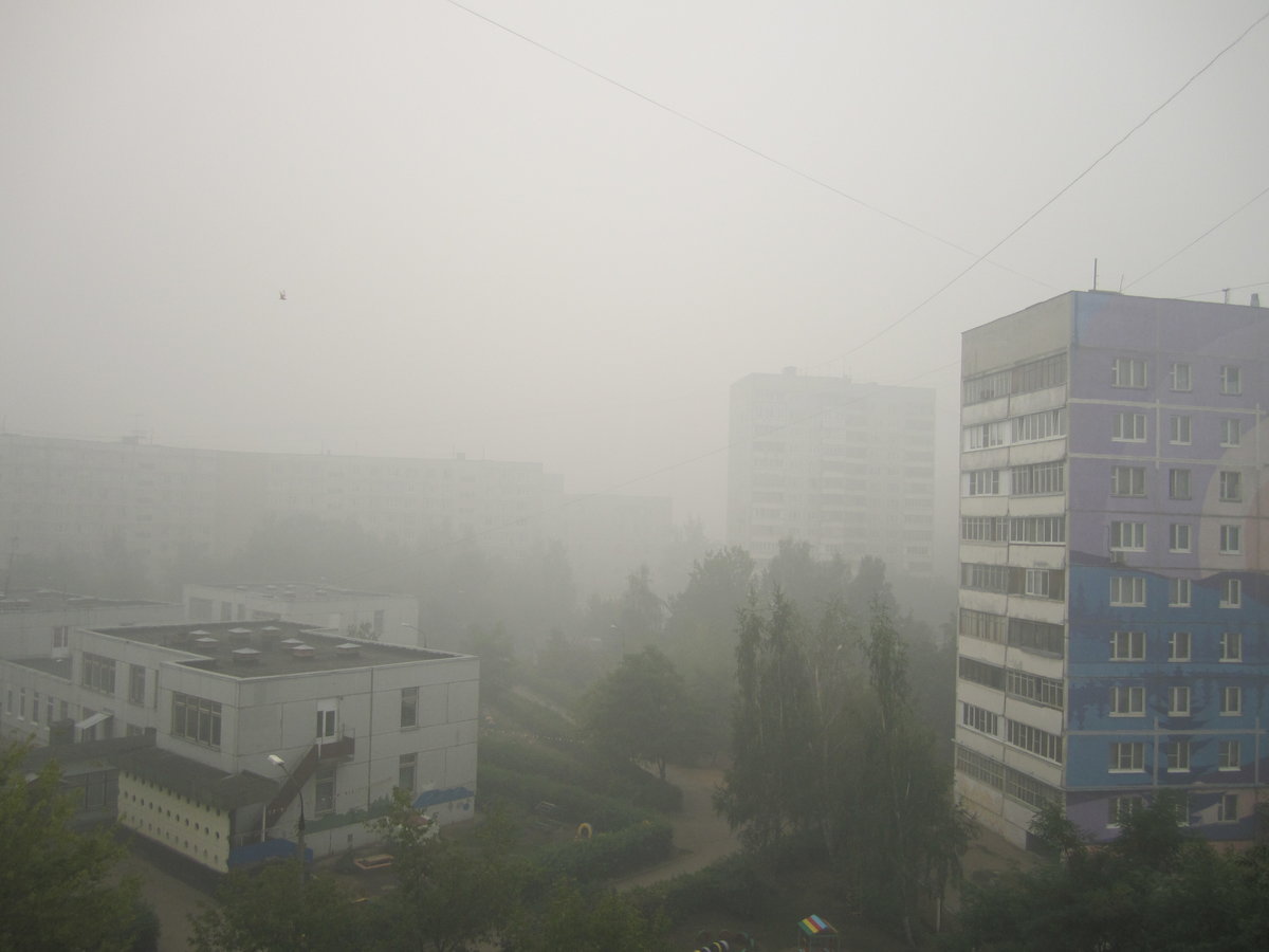 смог в бердске фото