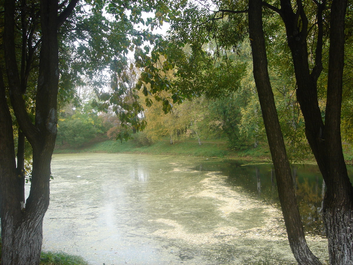 смоленск парк пруд фото