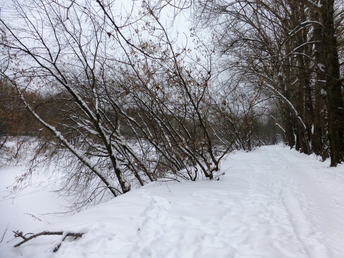 снег фото