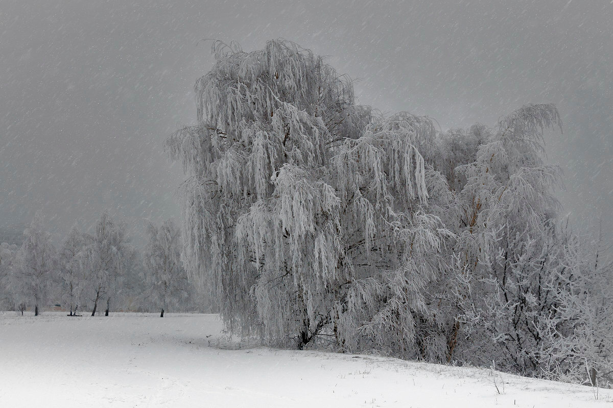 снег в феврале фото