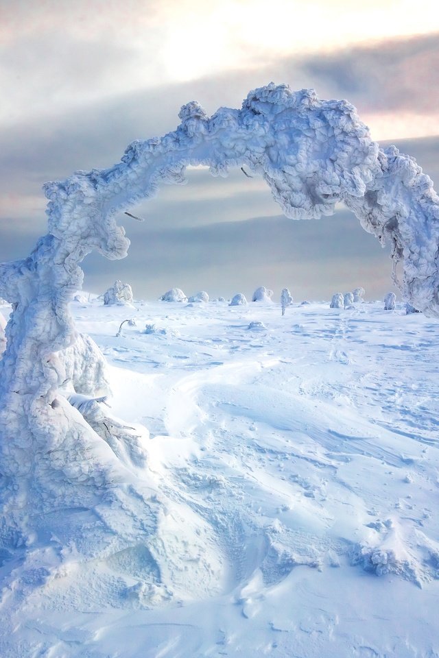 снежные просторы фото