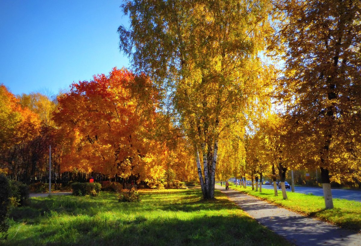 солнечная осень в городе картинки фото