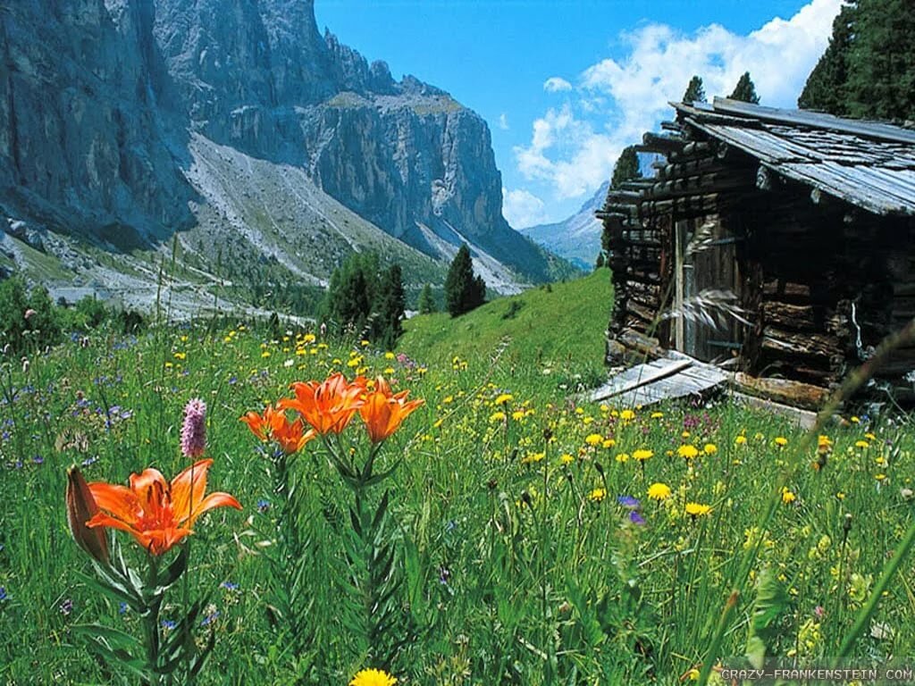 солнечное лето в альпах фото